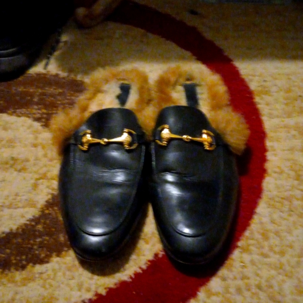 Roberto Cavalli slip ons
